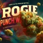 Rogue Punch Wreck (Regular) - Massive Seeds