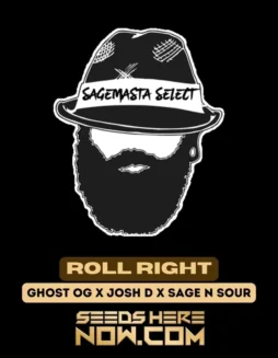 Image of Roll Right regular cannabis seeds pack by S.A.G.E.masta Select