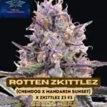 Rotten Zkittlez S1 (Feminized) - Pure XX