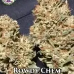 Rowdy Chem (Regular) - Dominion Seed Company