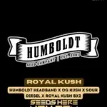 Royal Kush (Regular) - Humboldt Seed Company