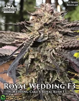 Royal Wedding F3 Cannabis Seeds by Emerald Mountain Legacy, featuring Wedding Cake and Royal Kush genetics