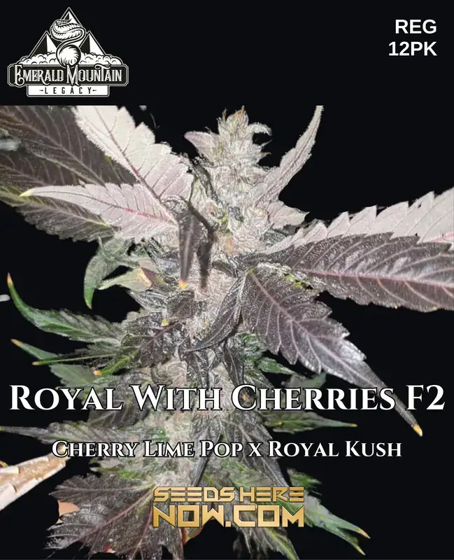 Royal With Cherries F2 Cannabis Seeds by Emerald Mountain Legacy featuring Cherry Lime Pop and Royal Kush lineage