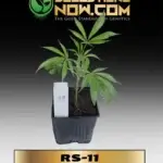 RS - 11 Clones - ACC