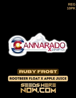 Ruby Frost Regular Cannabis Seeds by Cannarado Genetics featuring Rootbeer Float and Apple Juice lineage