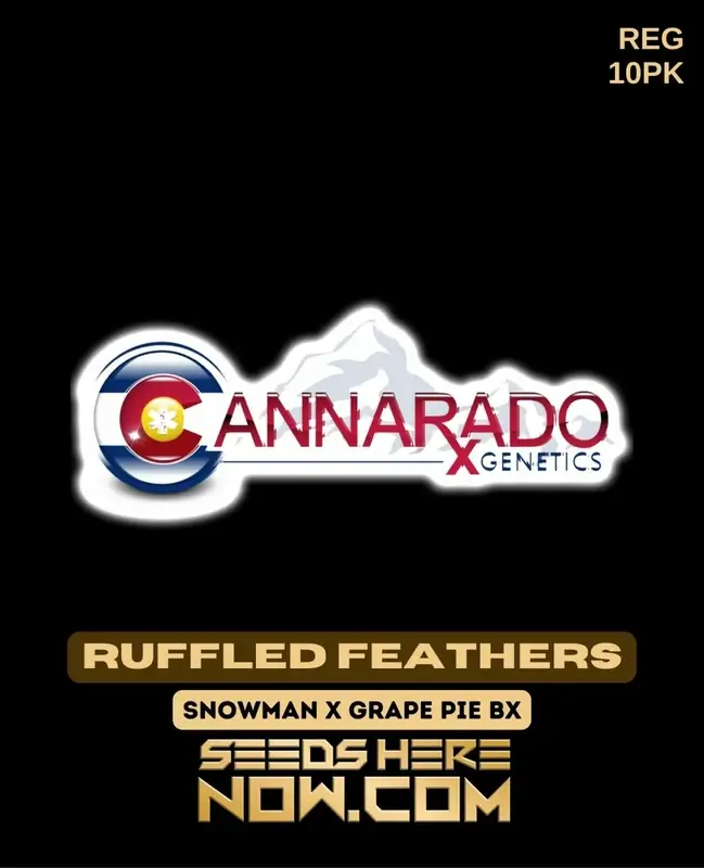 Ruffled Feather regular cannabis seeds by Cannarado Genetics, featuring Snowman and Grape Pie BX lineage