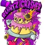 Runtz Crasher (Feminized) - Nasha Genetics {Last Pack}