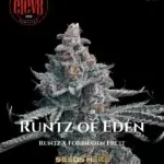 Runtz of Eden (Feminized) - Elev8 Seeds