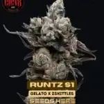Runtz S1 (Feminized) - Elev8 Seeds
