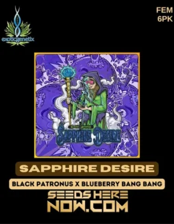 Feminized Sapphire Desire cannabis seeds by Exotic Genetix featuring Blueberry and Grape aroma