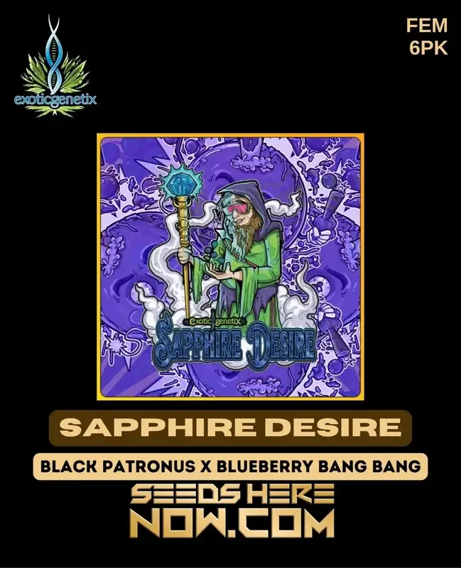 Feminized Sapphire Desire cannabis seeds by Exotic Genetix featuring Blueberry and Grape aroma