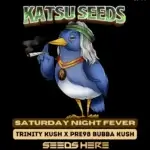 Saturday Night Fever (Feminized) - Katsu Seeds