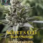 Scott's OG S1 (Feminized) - Elite Clone Seed Company