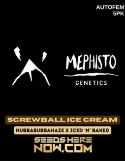 Close(space)up image of Screwball Ice Cream Cannabis Seeds by Mephisto Genetics