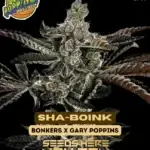 Sha - Boink (Feminized) - Exotic Genetix