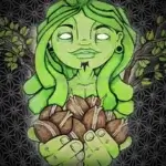 Shivas Soul (Feminized) - Trichome Jungle