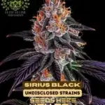 Sirius Black S1 (Feminized) - Elite Clone Seed Company