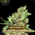 Skunk #1 S1 (Feminized) - Elite Clone Seed Company