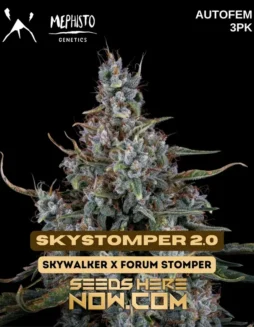 Pack of Skystomper 2.0 Autoflower Seeds (space) A Mephisto Genetics Strain with Sweet, Fruity Aroma