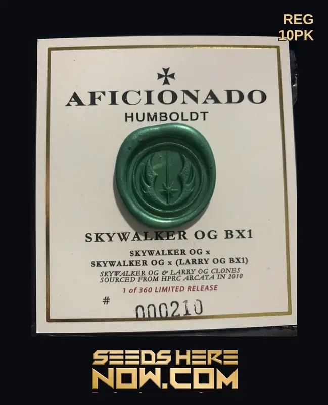 Skywalker OG BX1 regular cannabis seeds by Aficionado Seeds featuring earthy pine and citrus flavors