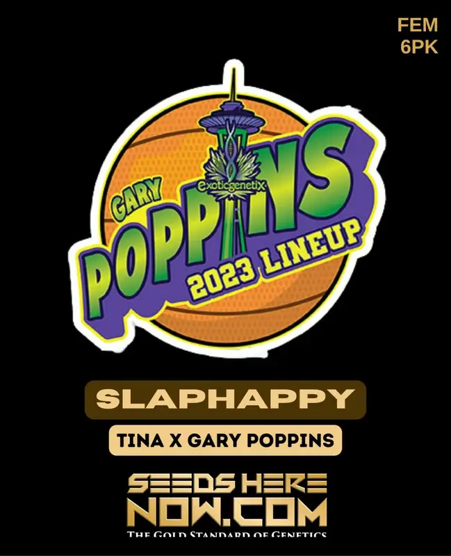 Slaphappy Feminized Seeds - High THC, Citrus Pine Flavor