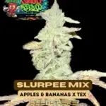 Slurpee Mix (Regular) - Shindig Seed Co.