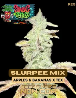 Slurpee Mix Regular Cannabis Seeds, 50/50 Hybrid, 25% THC by Shindig Seed Co.