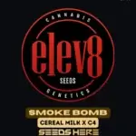 Smoke Bomb (Feminized) - Elev8 Seeds