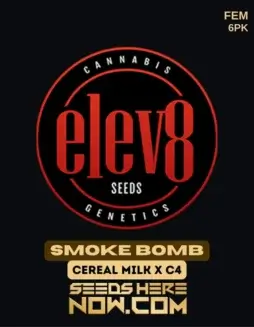 Smoke Bomb Feminized Seeds (space) A blend of Cereal Milk and C4 with 20(space)25% THC