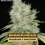 SmuckHead (Feminized) - Dominion Seed Company