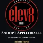 Snoop's Applefrizzle (Feminized) - Elev8 Seeds