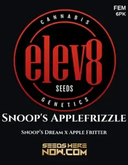Snoop's Applefrizzle Cannabis Seeds, Feminized, 20(space)24% THC by Elev8 Seeds