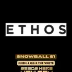 Snowball S1 (Feminized) - Ethos Genetics