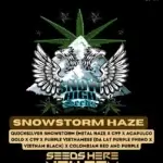 Snowstorm Haze (Regular) - Snow High Seeds