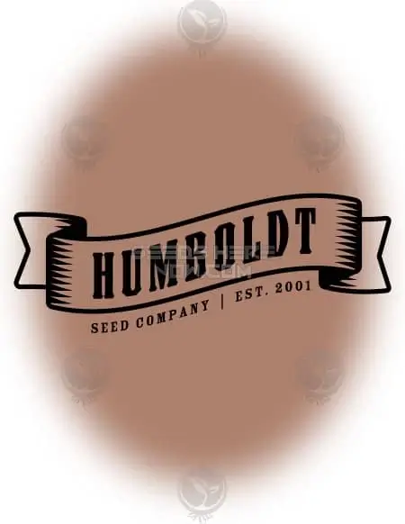 Sol Mate Auto cannabis seeds, Indica Dominant, by Humboldt Seed Company