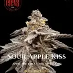 Sour Apple Kiss (Feminized) - Elev8 Seeds
