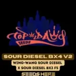 Sour Diesel BX4 V2 (Regular) - Top Dawg Seeds