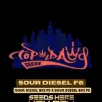 Sour Diesel F6 (Regular) - Top Dawg Seeds