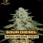 Sour Diesel (Regular) - Best Coast Genetics
