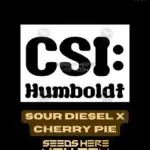 Sour Diesel x Cherry Pie (Feminized) - CSI Humboldt