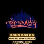 Sour Dos 2.0 (Regular) - Top Dawg Seeds