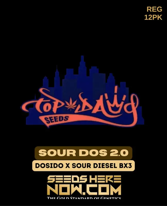 Sour Dos 2.0 cannabis seeds, a Sativa-dominant hybrid by Top Dawg Seeds featuring Do-Si-Dos and Sour Diesel BX3 lineage
