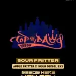 Sour Fritter (Regular) - Top Dawg Seeds