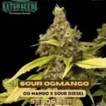 Sour OG Mango (Regular) - Katsu Seeds