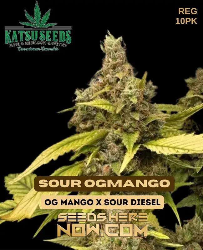 Sour OG Mango cannabis seeds by Katsu Seeds, featuring OG Mango and Sour Diesel lineage