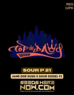 Pack of Sour P 21 Regular Cannabis Seeds by Top Dawg Seeds