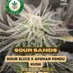 Sour Sands (Regular) - Heart & Soil Seeds