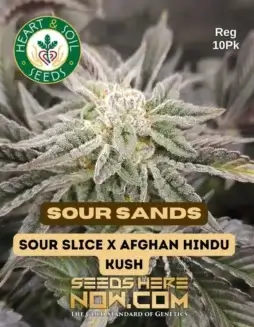 Sour Sands Regular Cannabis Seeds by Heart & Soil Seeds featuring Sour Slice and Afghan Hindu Kush
