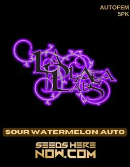 Sour Watermelon Auto cannabis seeds in packaging by La Plata Labs