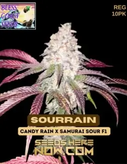 SourRain Cannabis Seeds (space) Hybrid strain combining Candy Rain and Samurai Sour F1